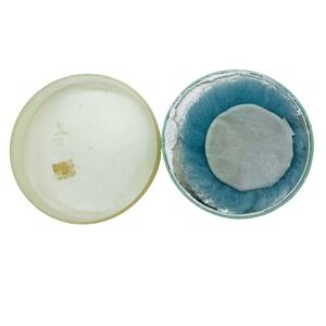 Vintage Delegar‎ Spring Fresh Perfumed Dusting Powder #5 Talc Fragrance USA